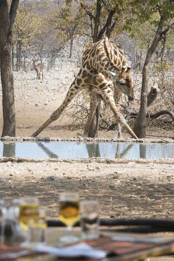 Ongava Tented Camp Okaukuejo Luaran gambar