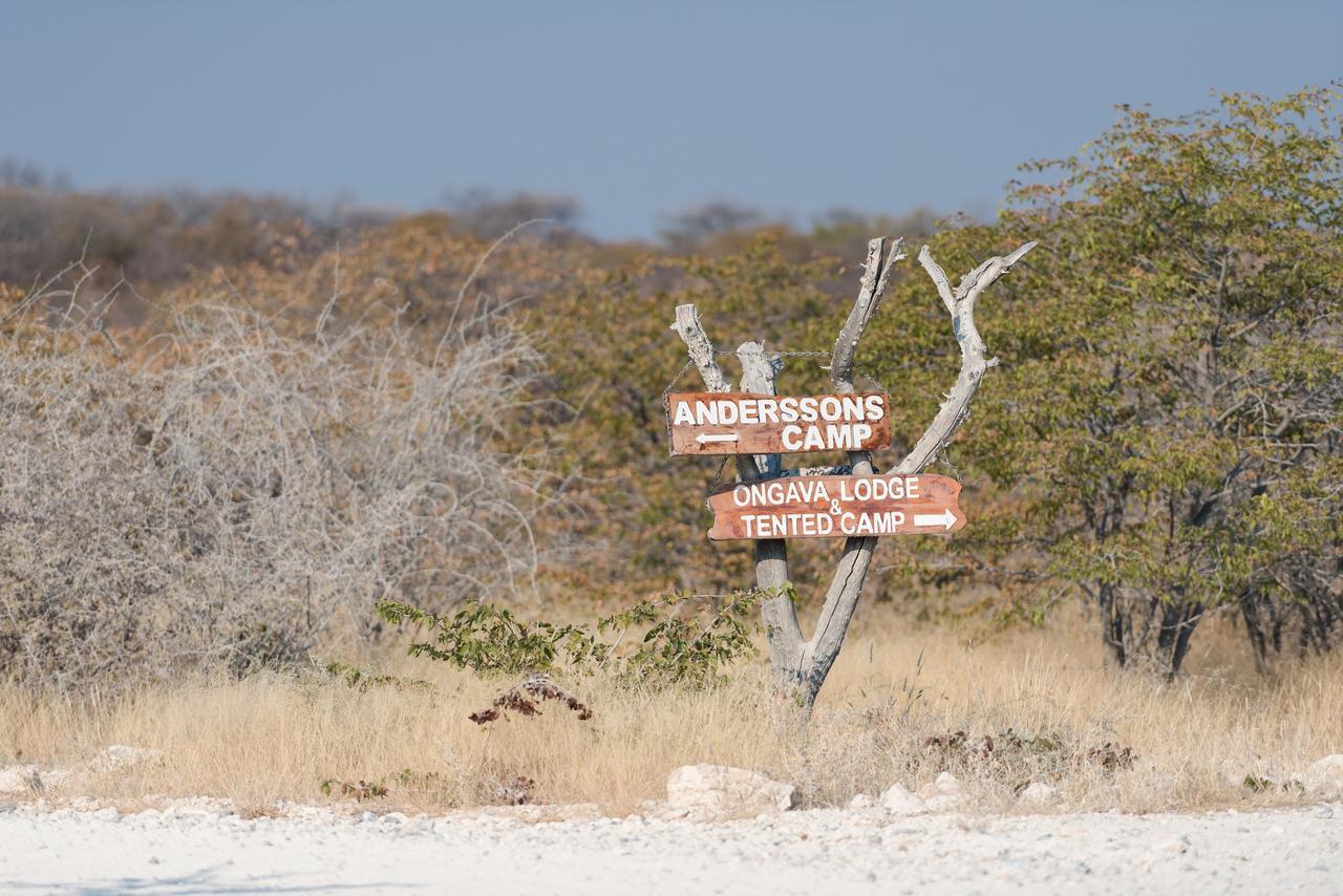 Ongava Tented Camp Okaukuejo Luaran gambar